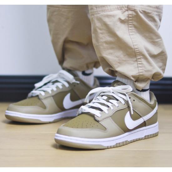 Nike Dunk Low Judge Grey DJ6188-200