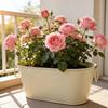 Rustikaler Eisen-Blumentopf Vintage Metall-Pflanzgefäß Mehrzweck-Pflanztopf Garten