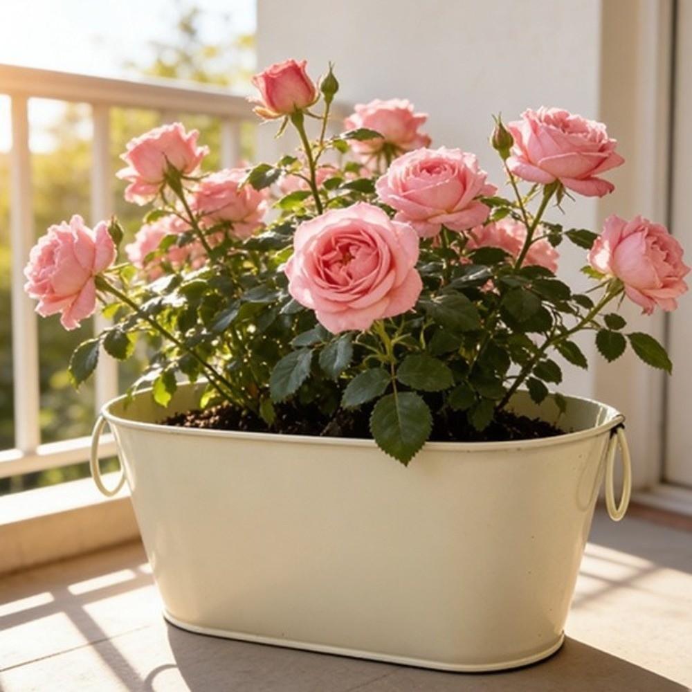 Rustic Iron Flower Pot Vintage Plant Pot Practical Metal Planter Windowsill