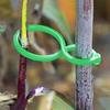 Plant Support Clips for Climbing Plants Reusable Gentle Plant Ties Garden Vine Support Clips for Indoor Outdoor Gardening or Plant Organization