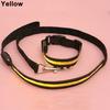 Mode LED Hund Haustier Nacht Sicherheits Halsband Blinkend Leuchtend Nylon Halsband Band