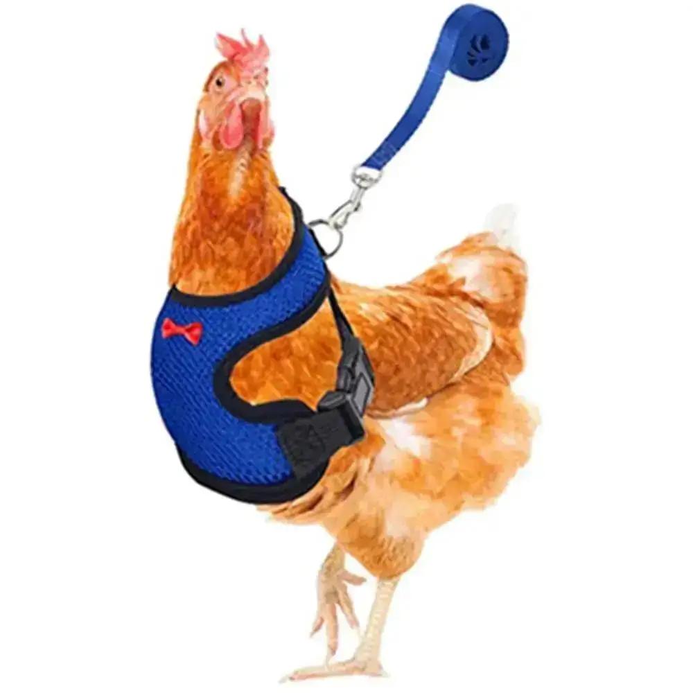 1 Pcs Fashion Chicken Duck Vest Hen Belt Pet Harness Matching Collars Bow Comfortable Leads Breathable Poultry Supply Wholesale