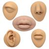 Silicone Ear Model for Piercing Jewelry Display