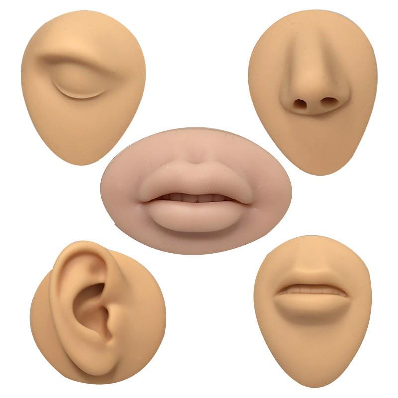 Silicone Ear Model for Piercing Jewelry Display