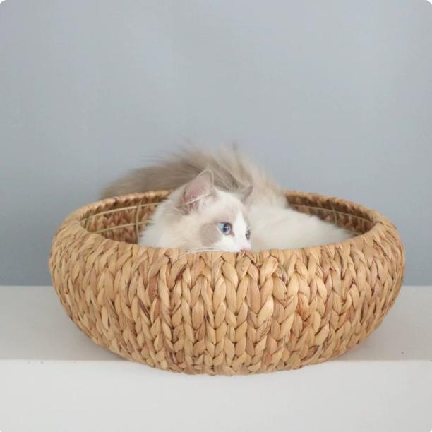 PP Rattan Circular Cat Cage Pet Bed Warm Autumn Winter Pad Cat Beds Removable Washable Doghouse Hammock for Cats Villa Nest