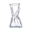 Forme Créative Vase Transparent Irrégulier Centres de Table Bouteille pour Plantes Affichage de Bureau