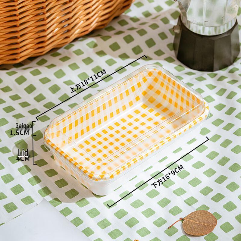 Disposable Picnic Food Containers Rectangular
