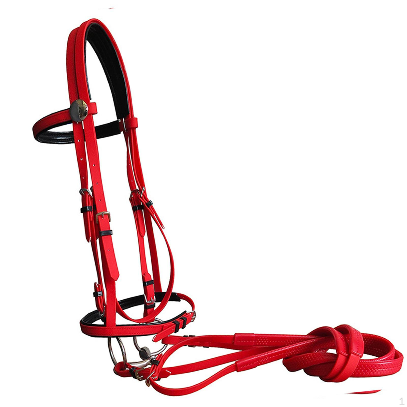 Horse Bridle with Rein, Halter Heavy