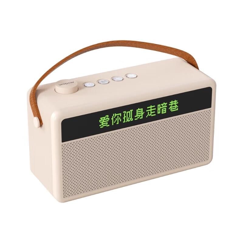 WOPOW AP09 Wireless Bluetooth 5.3 Karaoke Speaker with Dual Microphones