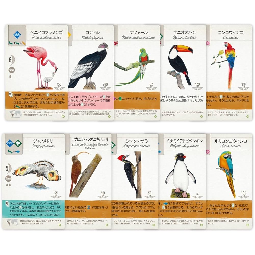 Arclight Wingspan Expansion Latin America Board Game Set for 1-5 Players Ages 10+ 40-70 Minutes Playtime