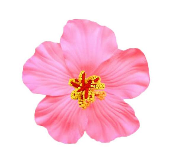 Hibiscus Flower Hawaiian Hair Clips - Beach Party Wedding Accessories