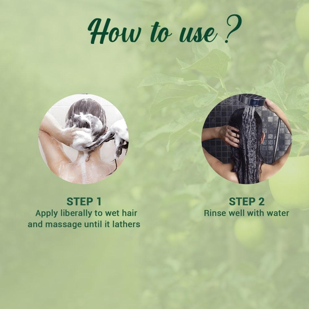 Biotique Green Apple Shampoo And Conditioner 190ml For Shiny Soft Hair With Botanical Extracts And Scalp Nourishment