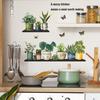 Creative Plant Potted Plants and Inspiring Slogan Kitchen Home Decoration Wall Stickers