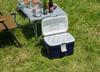 JEJ Astage Forest Crew Cooler Dark Made In with a Removable Lid for Easy W X 258mm D X 271mm Stores 500ml PET Bottles Lightweight and Holds Up To 18