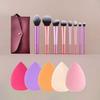 Stroke of Beauty - Makeup Brush / Case / Makeup Blender Beauty Sponge / Set