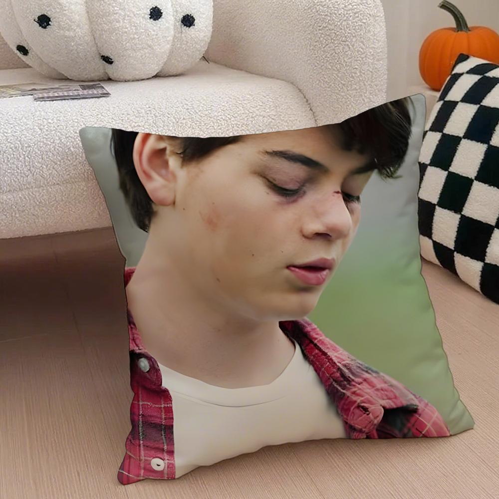 TTate Dutton Cushion Cover Throw Pillow Cover Hidden Button Durable Polyester Chair Cushion