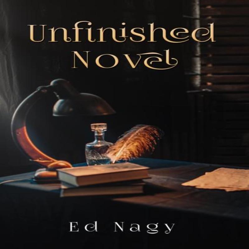 Unfinished Novel by Ed Nagy Paperback Book 9781638291145