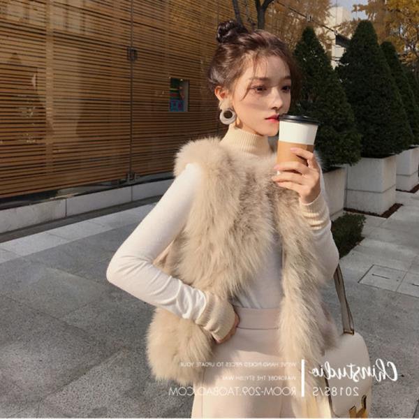 New Autumn and Winter Imitation Fur Vest Women's Short Vest Vest Imitation Fox Hair Plush Internet Celebrity Vest Jacket