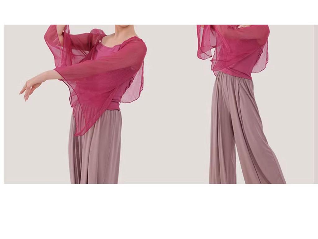 Women's Mesh Long Sleeve Dance Top - Body Shaping, Autumn/Winter, Classical Chinese Style