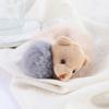 New Hair Tie Plush Bear Lovely Cute Elastic Rubber Bands Hair Rope Hair Accessories Ponytail Holder