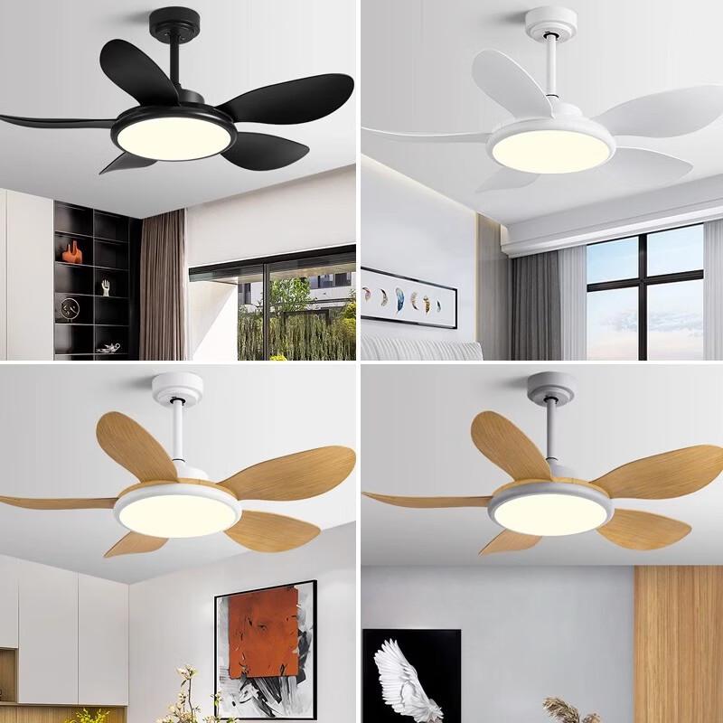 Oeny Ceiling Fan Light