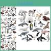 Set Realista de 20 Piezas de Modelos de Animales Árticos y Antárticos con Osos Polares Pingüinos Renos y Ballenas para Exhibición y Decoración