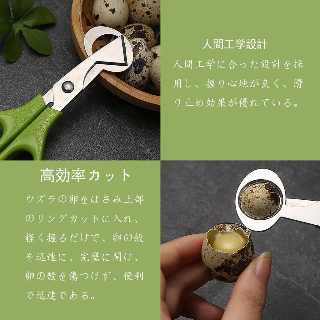 BRIIKPP Stainless Steel Quail Egg Cutter A handy kitchen gadget for perfectly cracking shells - (Green)