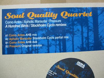 12inch Record SOUL QUALITY QUARTET - Como Antes / Aphotic Marauder / Pre ICP120 Irma CasaDiPrim 2003 Italy Dance & Electronica Used
