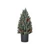 HOMCOM Sapin De Noël Artificiel Sapin De Noël De Table 170 Branches Motif Neige Matériau PE PVC Ø27 X 47 Cm