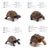 Figurine Statique Modèle Tortue Terrestre en PVC pour Enfants avec Design Réaliste pour Collectionneurs et Enfants