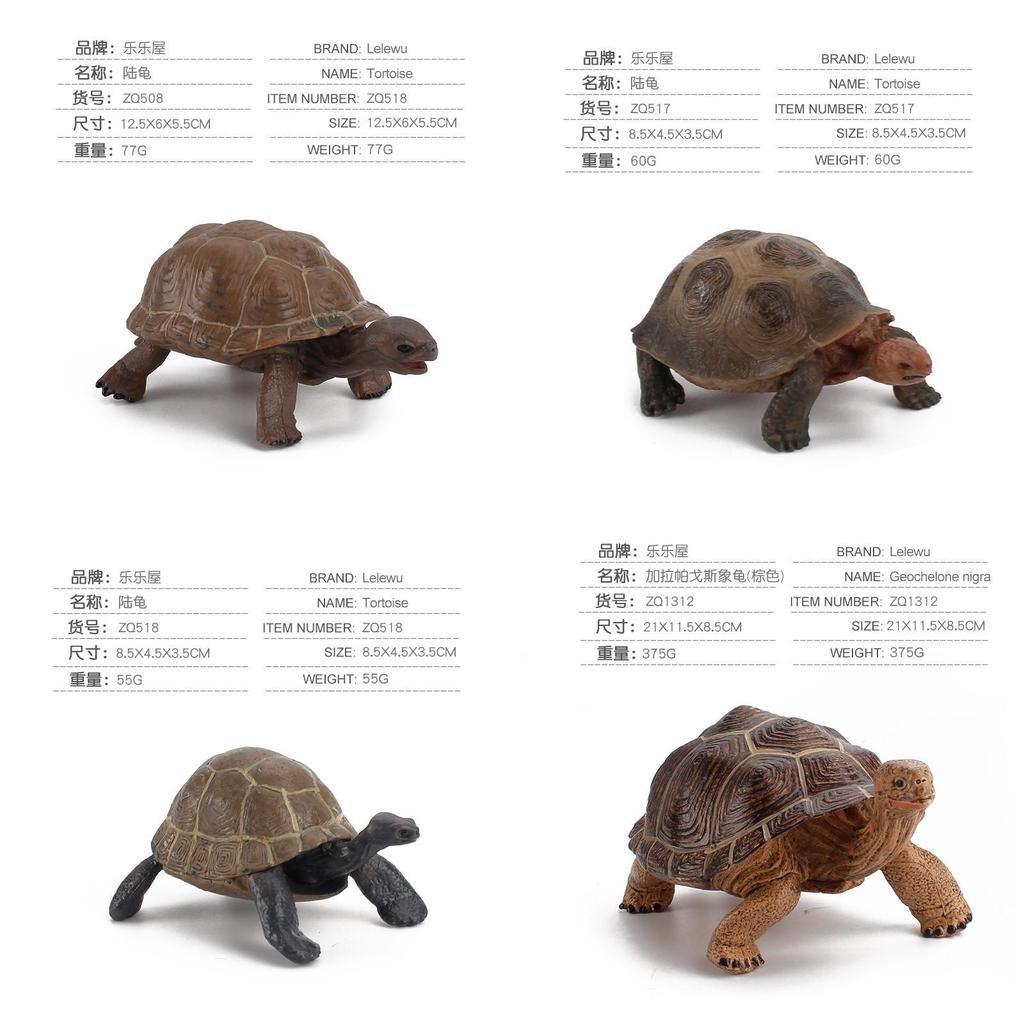 Figurine Statique Modèle Tortue Terrestre en PVC pour Enfants avec Design Réaliste pour Collectionneurs et Enfants