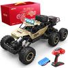 4DRC 4WD RC Off-Road Race Car for Kids
