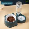 Pet Bowl: 2-in-1 Cat & Dog Feeding and Water Bowl