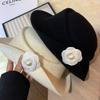 2026 New French Daughter Style Elegant Top Hat Women's Autumn and Winter Hepburn Style Beret Fashionable Face Hat
