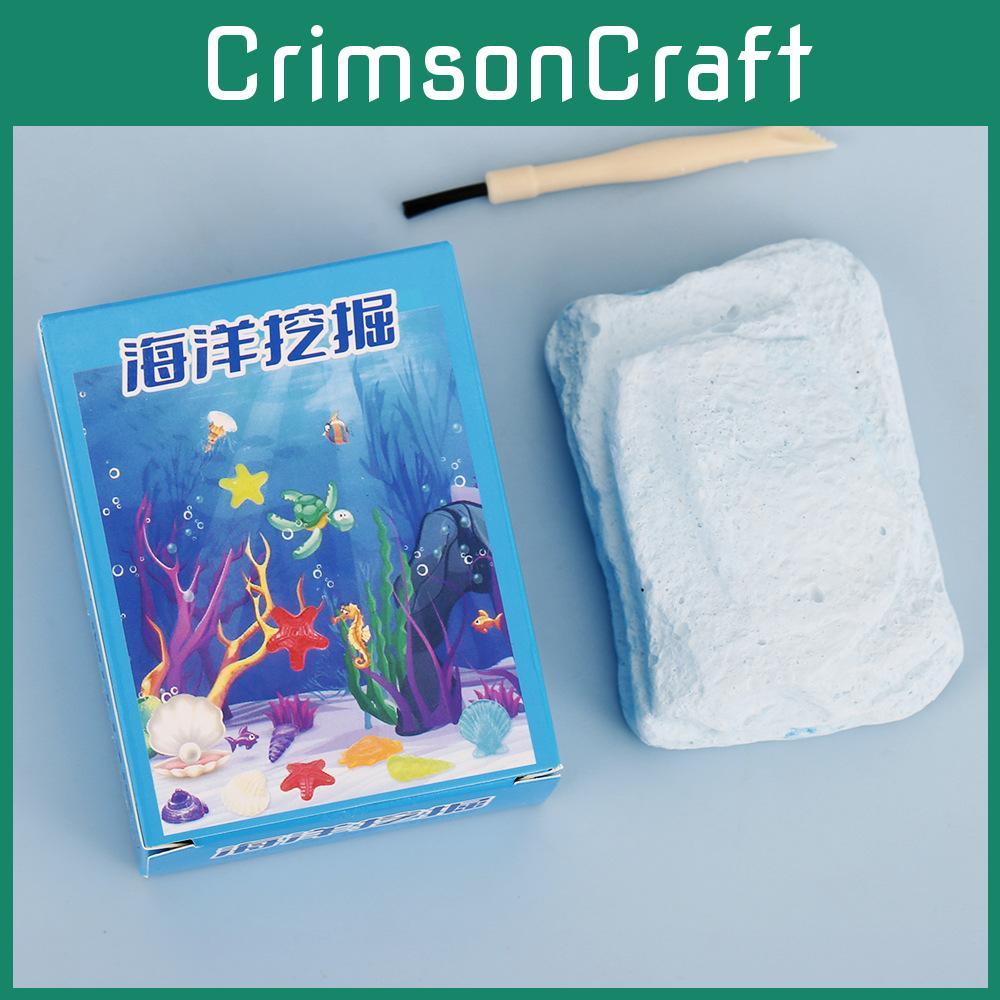 Fossil Digging Marine Toy With Handcrafted Shells For Kids Educational Play