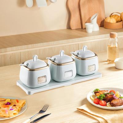 Condiment Container, Seasoning Box Set with Cover and Spoon, Multipurpose Kitchen Spice Pots