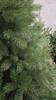 Garland Pine Pe