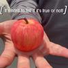 Slow Rebound Simulation Apple Maltose Pressure Ball Squeeze Whole Trick Relieve Stress Adult Vent Children'S Toys Fidgeting Toys