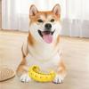 Tpr Bite Resistant Dog Chew Toys For Small Medium Dogs Long Lasting Teeth Cleaning Chew Toy Puppy Teething Relief Interactive