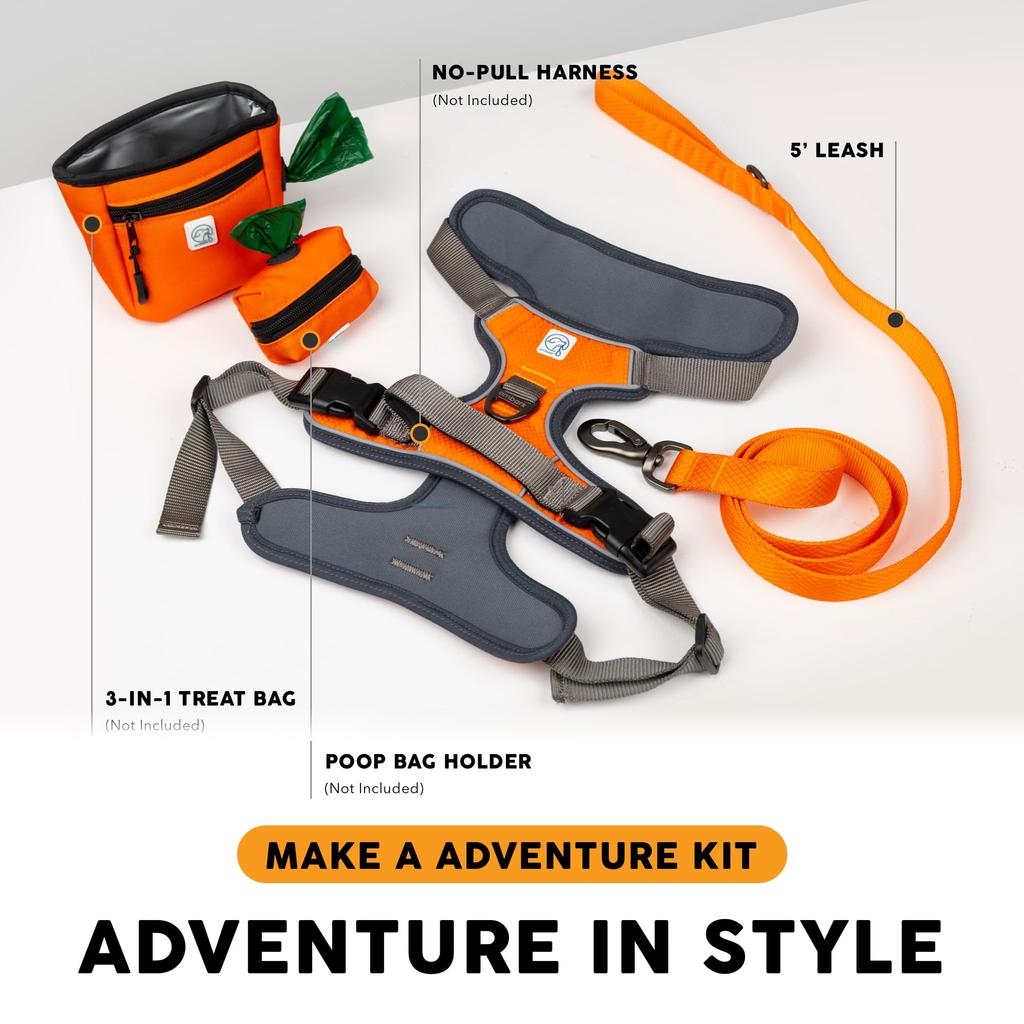 Embark Pets Adventure Leash for Dogs, Orange, 150cm (length) x 2.5cm (width)