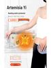 Mugwort Heating Waist Support Belt - Unisex Abdominal Warmer for Cold Protection and Elderly Care