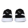 Puma Smash V2 'Buck - Black Silver' (Unisex) Black / White / Silver Skate Shoes 365160 68