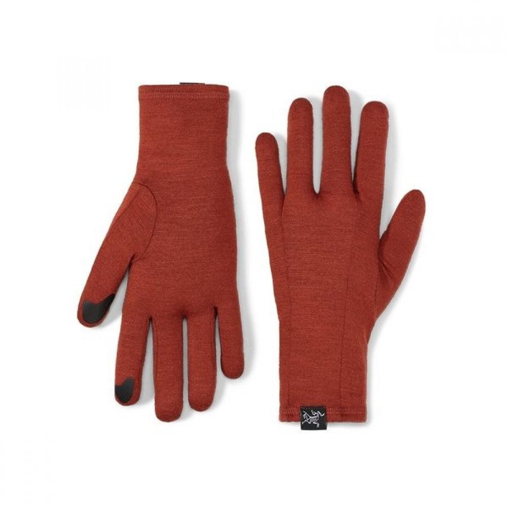 Arcteryx Gothic Glove Aeofux6539 BLACK / MD