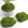 100G Fake Moss Diy Crafts Artificial Moss Faux Green Plants Home Room Garden Decoration Mini Landscape Fake Grass