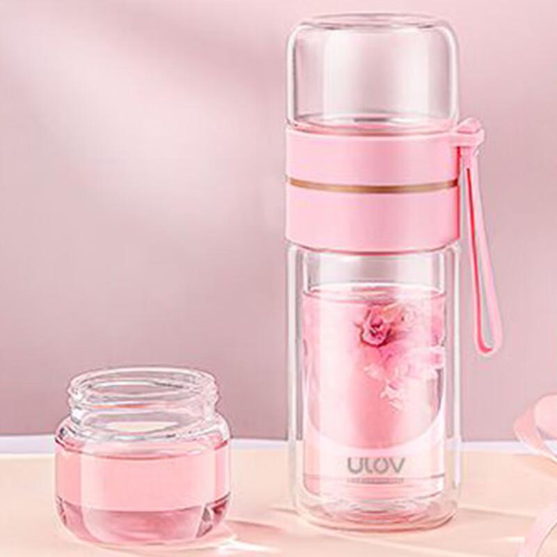 Portable Double-Wall Glass Tea Infuser Cup