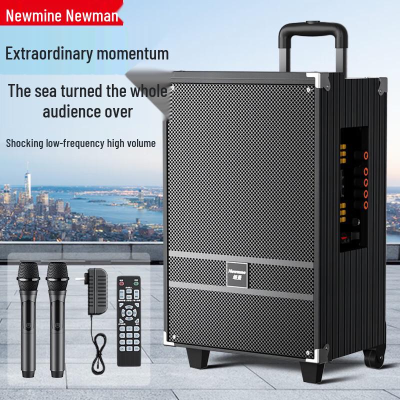 Newmine Portable Outdoor KTV Bluetooth Speaker