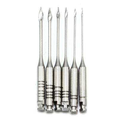 6 teile/paket 1-6 # Dental Endodontie Bohrer Tore Reibahlen Rotary Paste Träger 32mm/28mm Motor verwenden Edelstahl Dateien