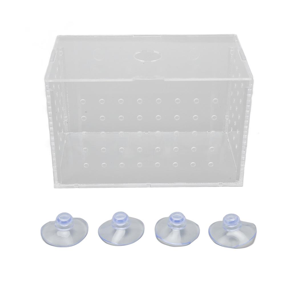 Fiskeoppdrettsboks Akryl med høy gjennomsiktighet Klekkeri Inkubatortank med sugekopper for baby