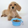 Ciotola Pieghevole per Cani, Ciotola Pieghevole per Gatti con Moschettone, Ciotola Portatile in Silicone per Animali Domestici Cani Gatti Viaggio Campeggio