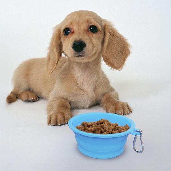 Ciotola Pieghevole per Cani, Ciotola Pieghevole per Gatti con Moschettone, Ciotola Portatile in Silicone per Animali Domestici Cani Gatti Viaggio Campeggio